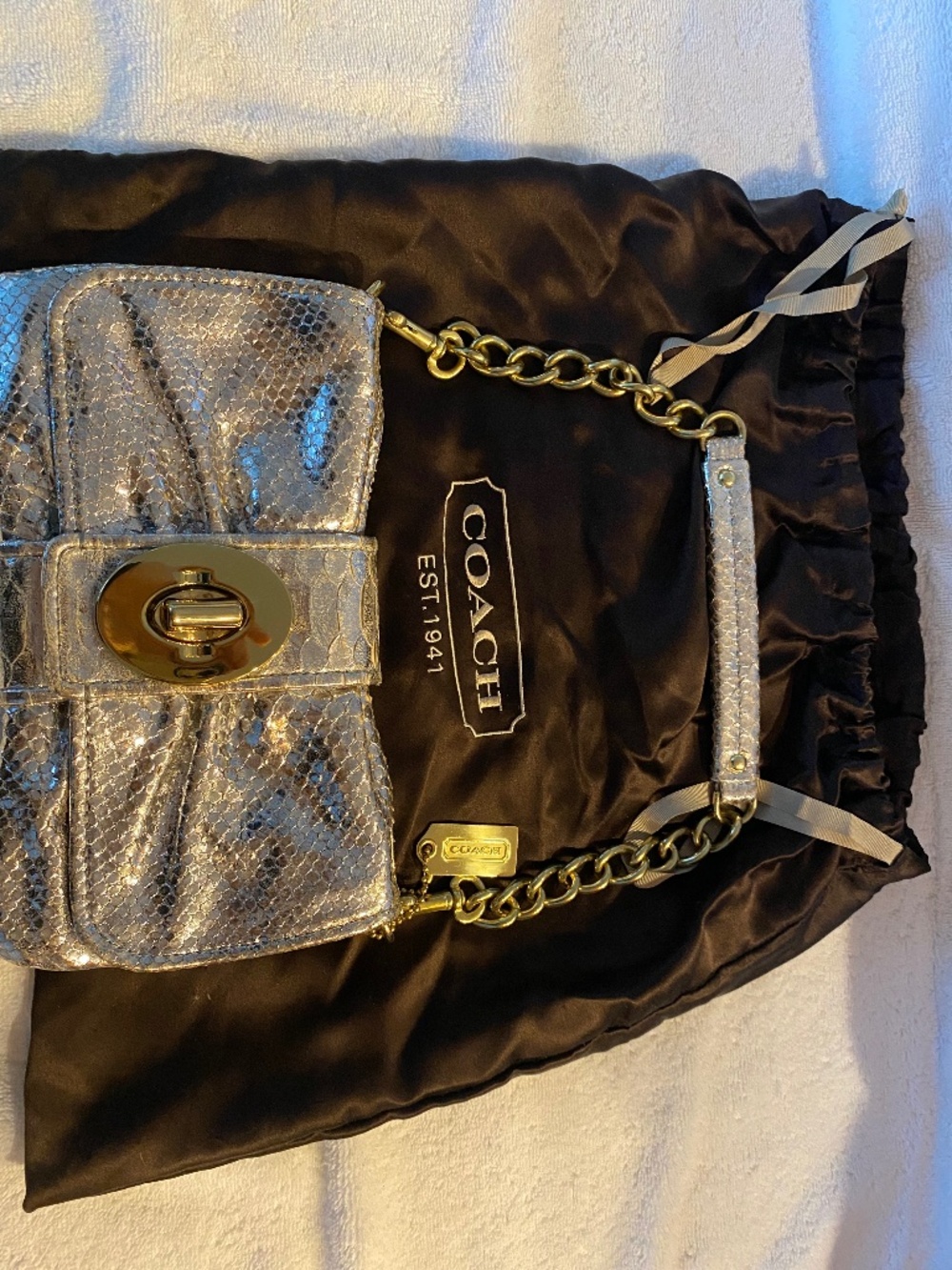 Coach Silver Women’s Handbag